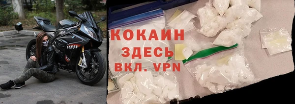 прущие грибы Горнозаводск