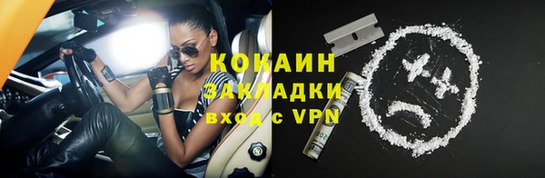 прущие грибы Горнозаводск