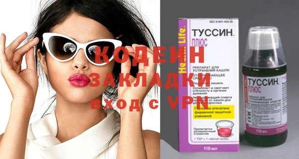 прущие грибы Горнозаводск