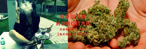 прущие грибы Горнозаводск