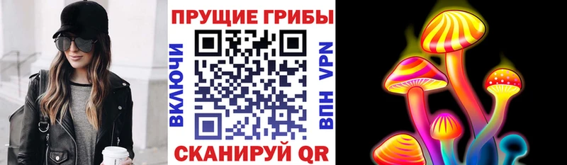 Псилоцибиновые грибы Psilocybine cubensis  Купить где  Козьмодемьянск 