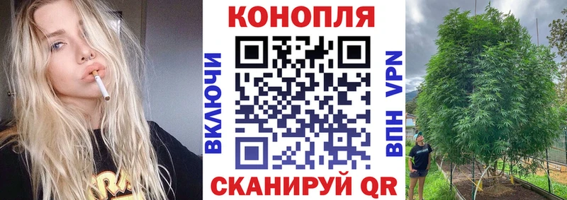 Шишки марихуана индика  Купить  Козьмодемьянск 